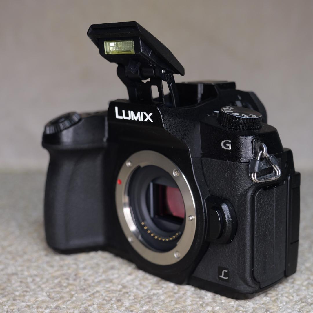 【1247】Panasonic LUMIX DMC-G8 箱付き美品