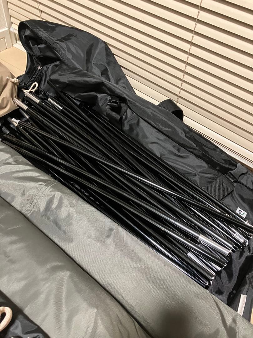 【訳あり】サバティカル ギリア sabbatical gilia 値段交渉可