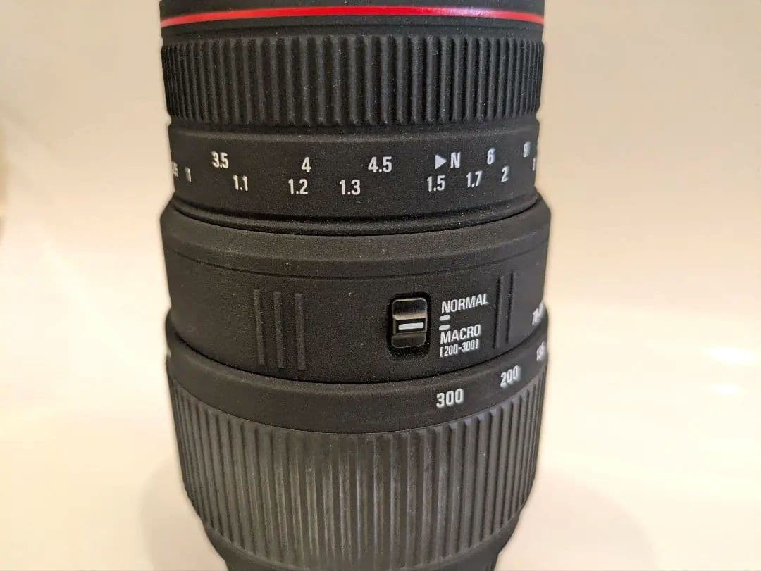 SIGMAズームレンズ APO70-300mmF4-5.6DGMACROソニー