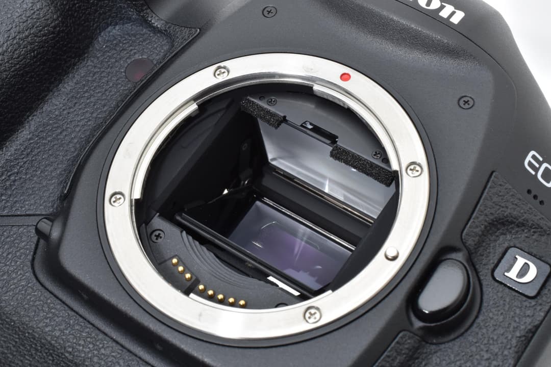 ■極上品■ キヤノン EOS-1D Mark IV #C698