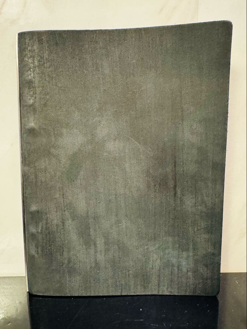 PLOTTER ホースヘア II レザージャケット　6穴リング A5