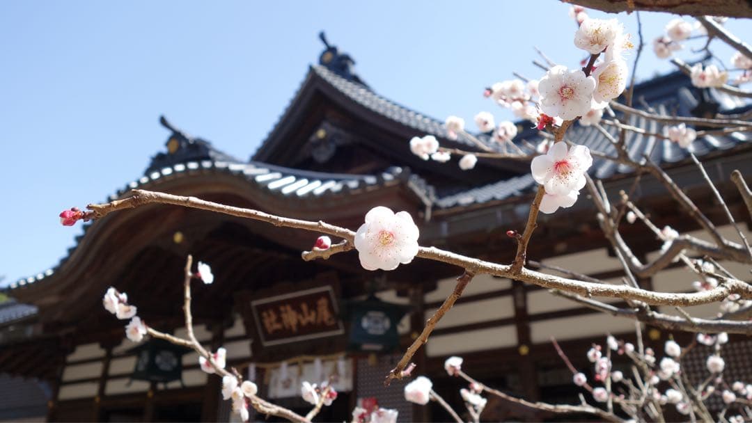 【完品/追加品あり】SONY DSC-RX100M2