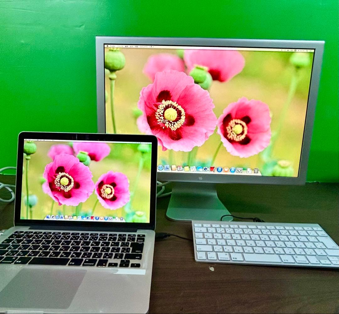 Ａpple D isplay 23と Mini - Dual-Link DVI