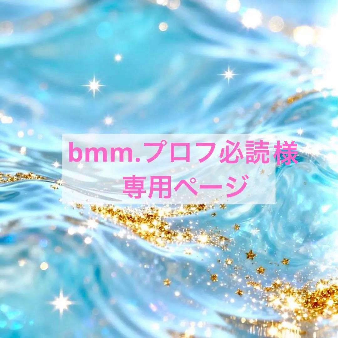 bmm.プロフ必読 ページ