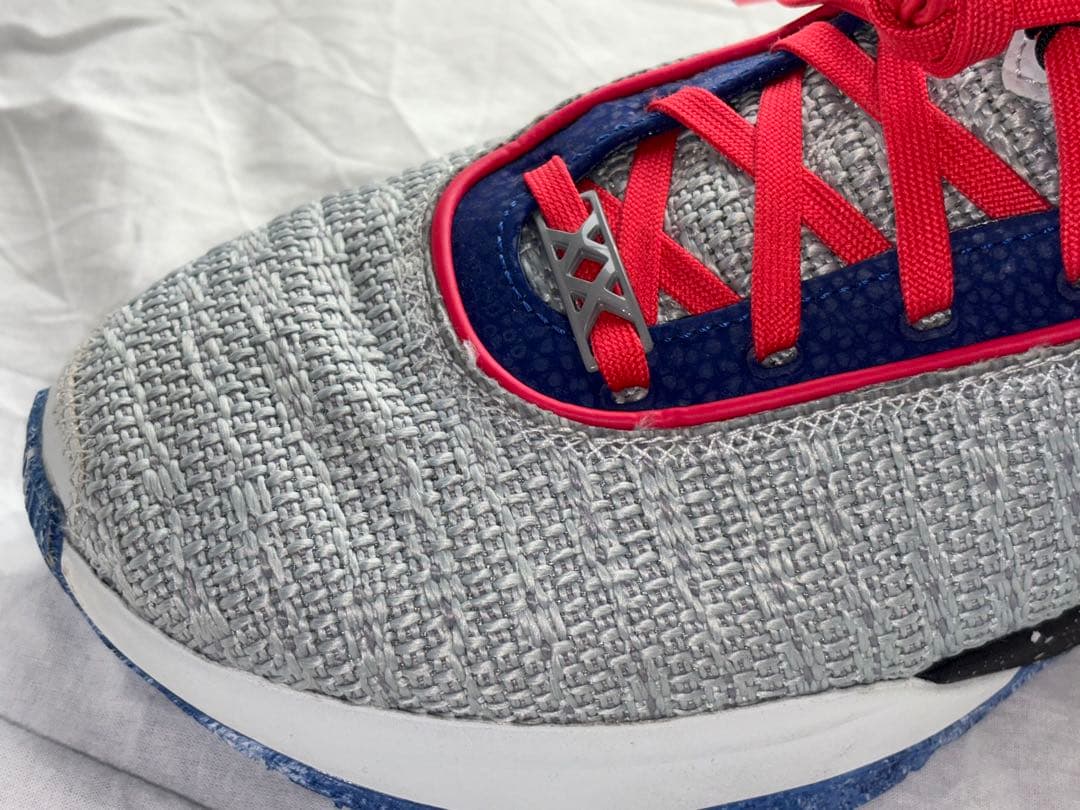 NIKE LeBron 20 ナイキ レブロン 20（DJ5422-002）