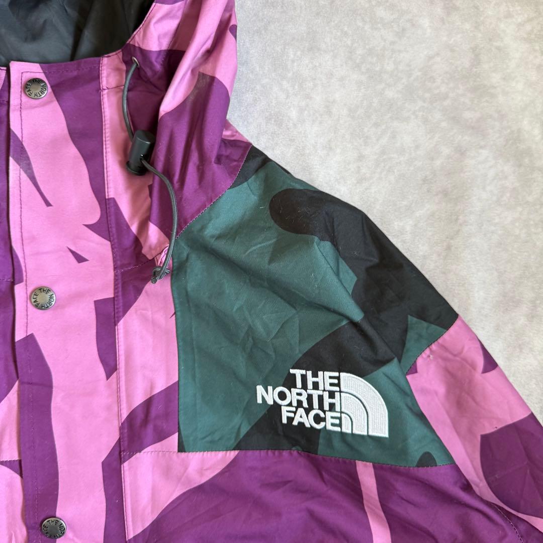 ザノースフェイス KAWS マウンテンパーカー M