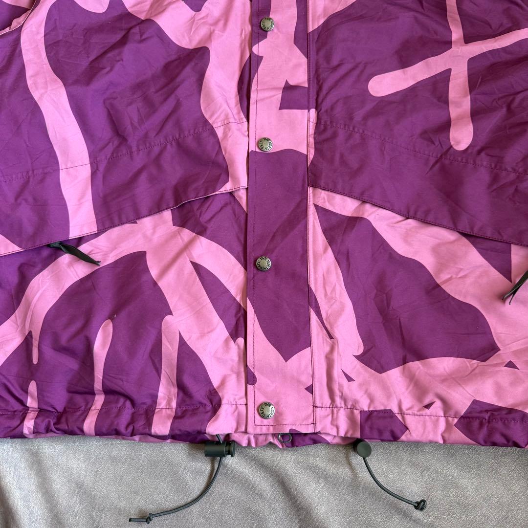 ザノースフェイス KAWS マウンテンパーカー M