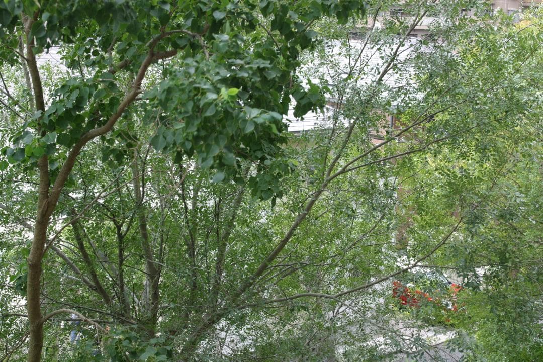 【防湿庫保管品】CANON EOSD60　元箱付き 【動作品】主観で良品