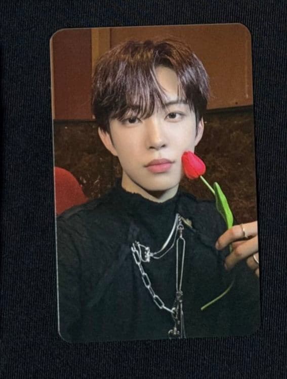 韓国　ALD1　人気歌謡　サノク　逆サポート　100日記念　ゴヌ　トレカ