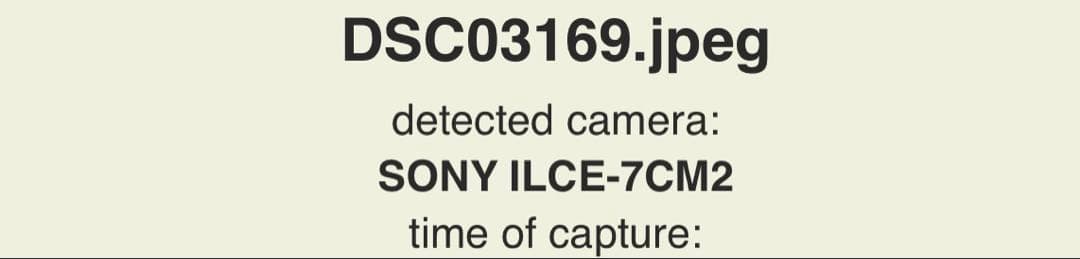 タロタロ⭐︎SONY α7C II 本体 グリップおまけ付き