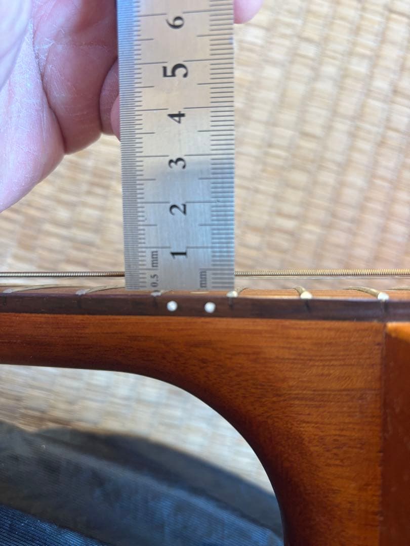 S.Yairi ミニギターYM-02 ソフトケース おまけ新品弦付き