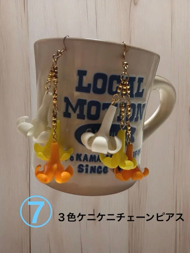 【ピカケページ】Hawaii・プアケニケニピアス・4セット