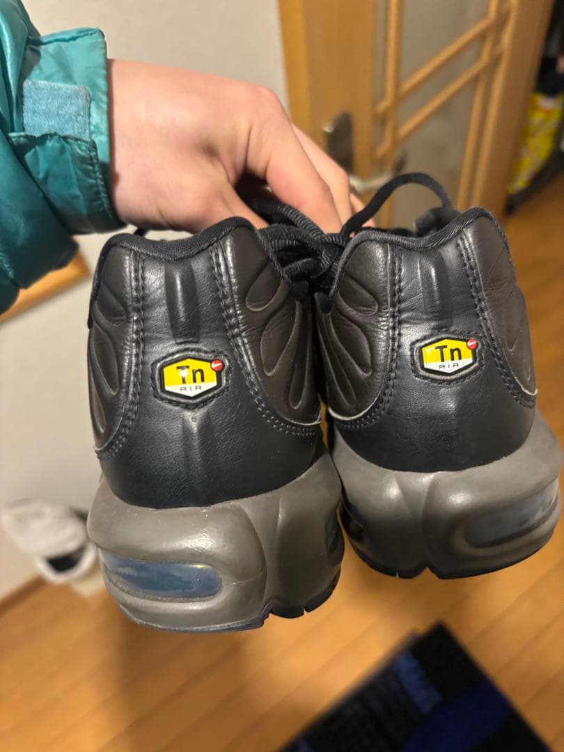 Nike Air Max Plus ナイキ　マップラ
