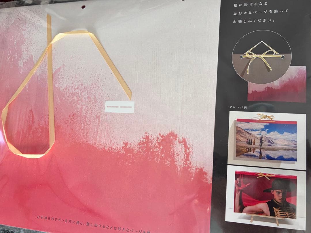 落下の王国 初回限定盤 パンフレット 4K版と初上映時のフライヤー付き