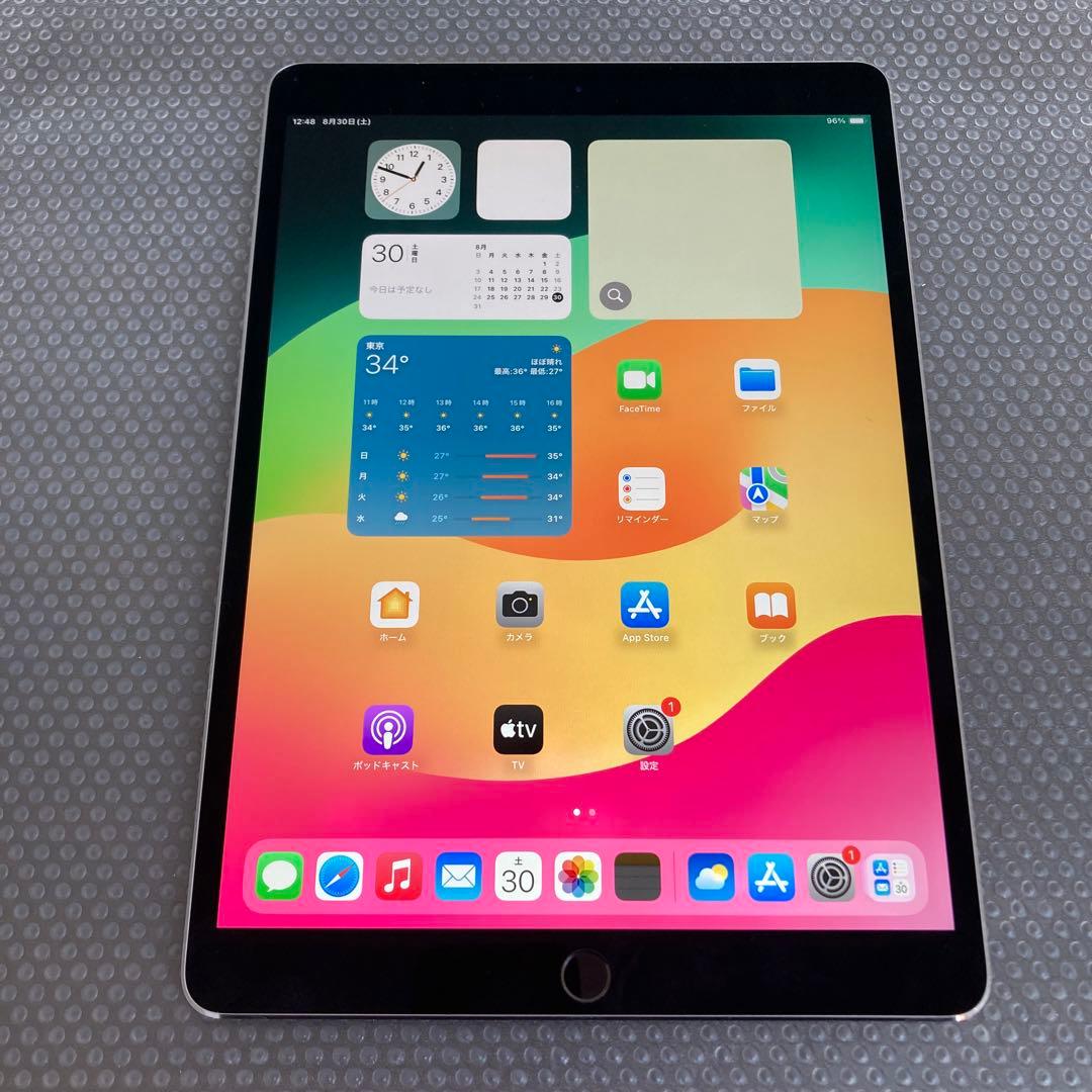 166 電池ほぼ新品☆iPad Pro 256GB 10.5インチ SIMフリー