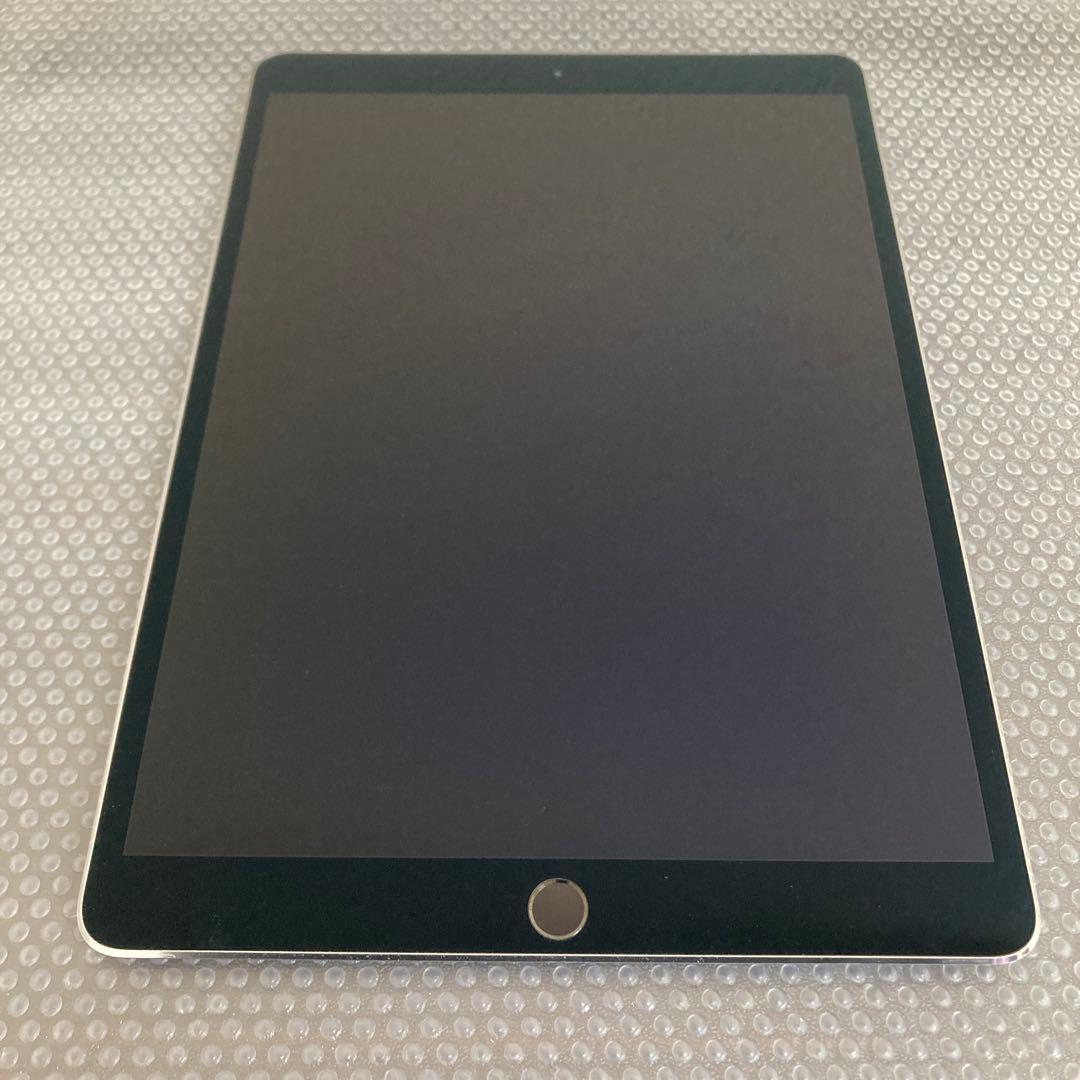 166 電池ほぼ新品☆iPad Pro 256GB 10.5インチ SIMフリー
