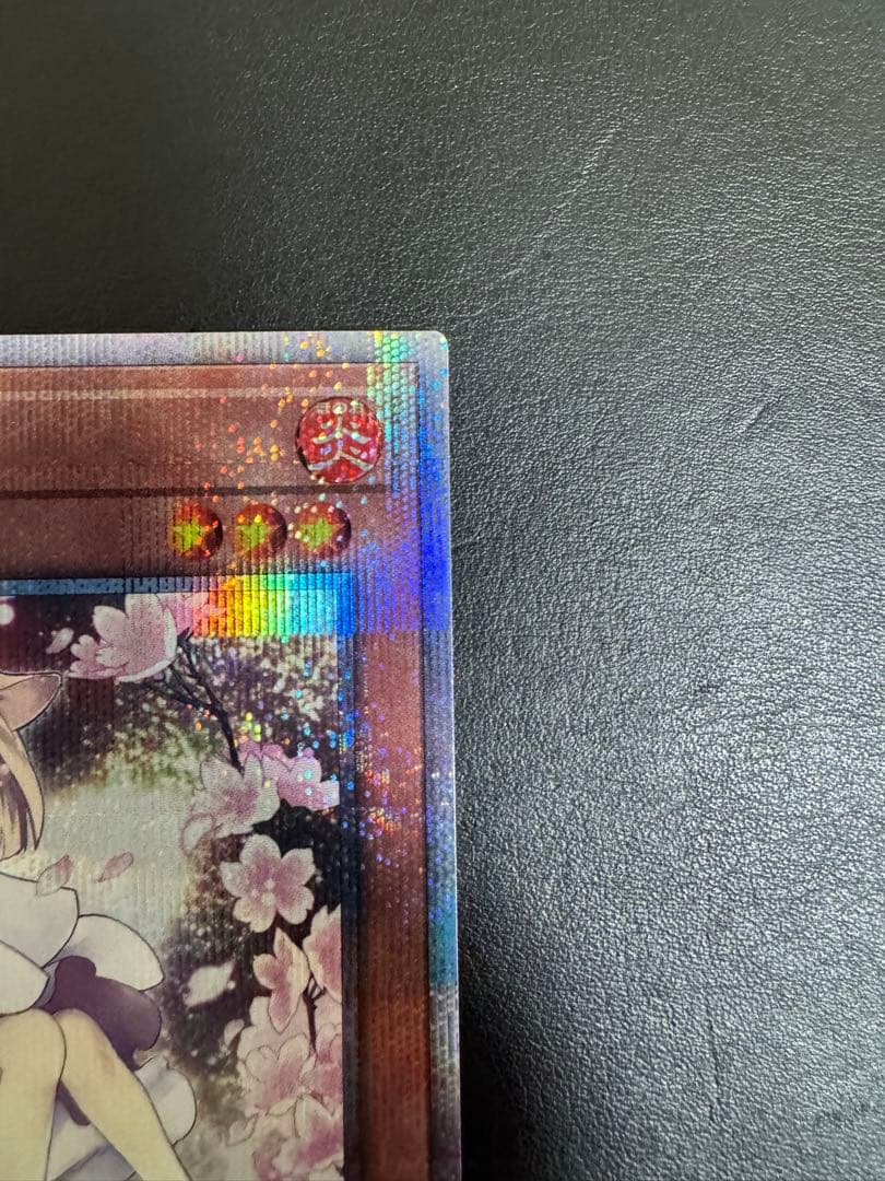 遊戯王 灰流うらら 絵違い 25th クオシク