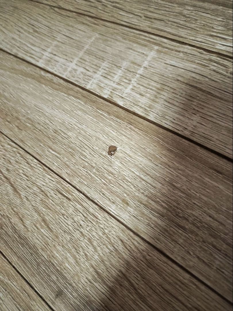 アイリスプラザ ウッドフローリングカーペット　6畳　江戸間 オーク