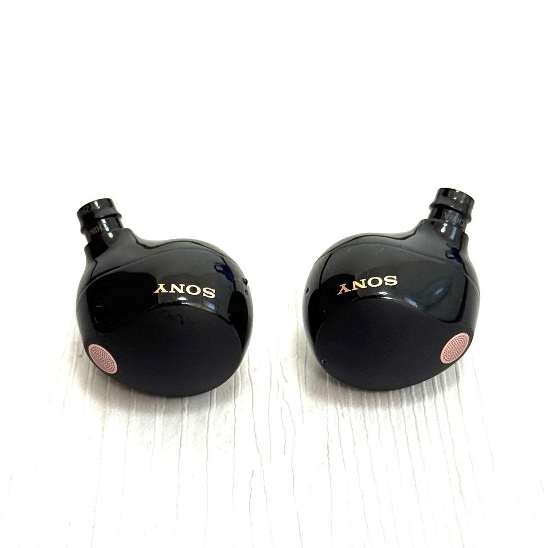 ソニー WF-1000XM5 ブラック イヤホン　両耳セット