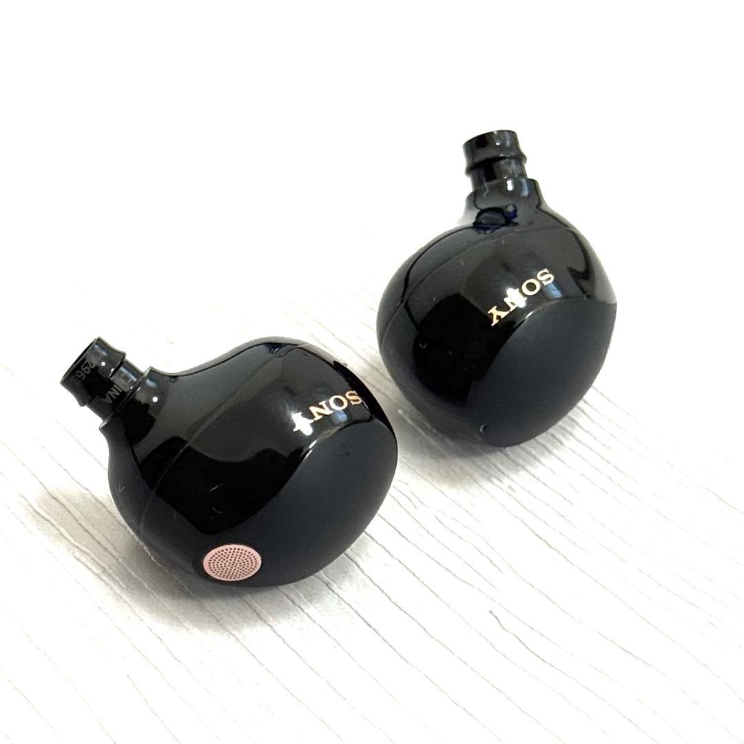 ソニー WF-1000XM5 ブラック イヤホン　両耳セット