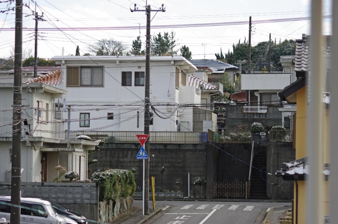 レンズ(単焦点) SMC Pentax-FA 100mm F2.8 Macro #7928