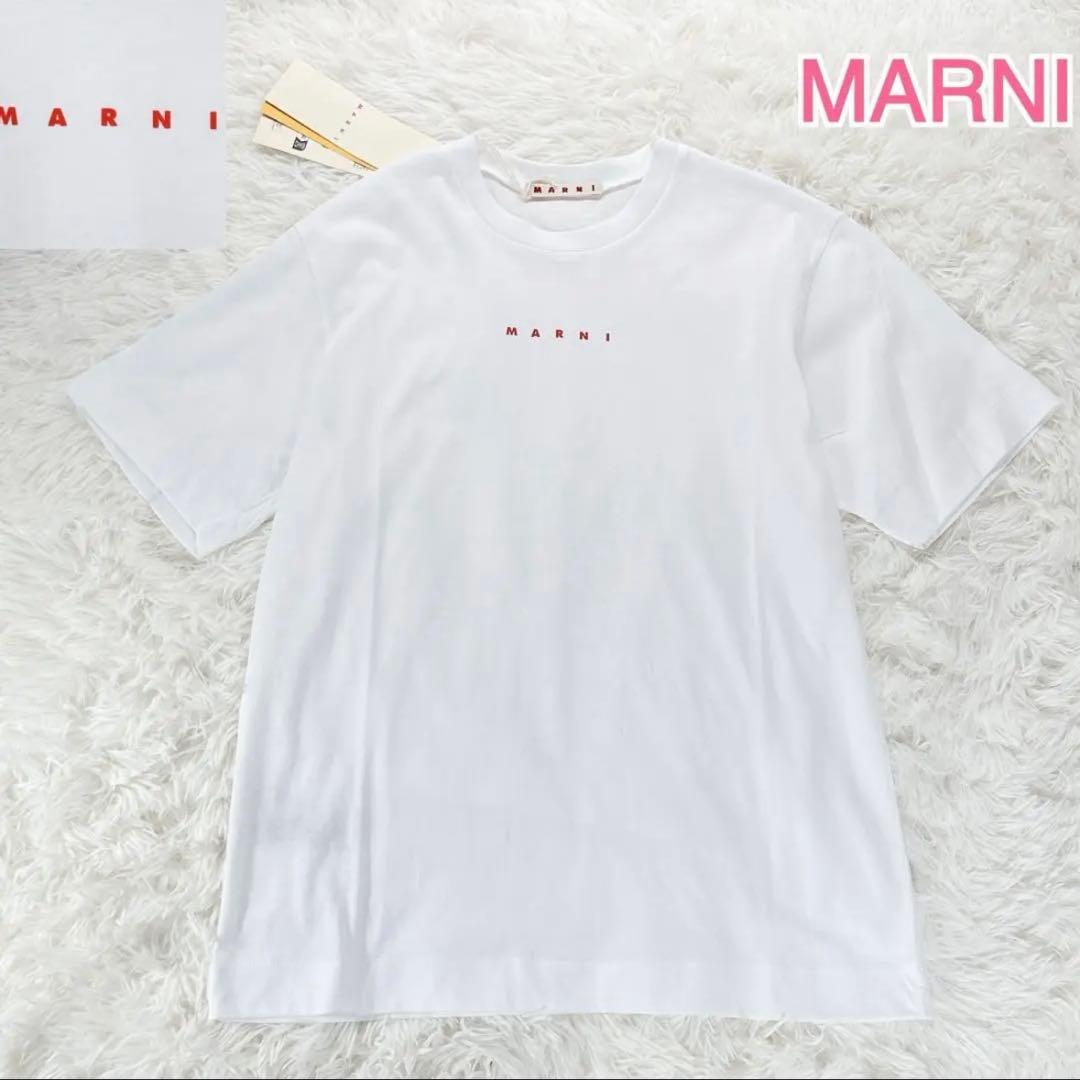 新品タグ付✨ 大人もOK！マルニ　キッズTシャツ　12Y 150 白 25SS
