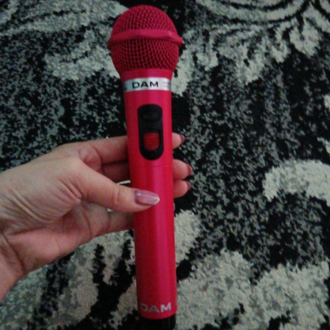 最終値下げ　DAMマイク