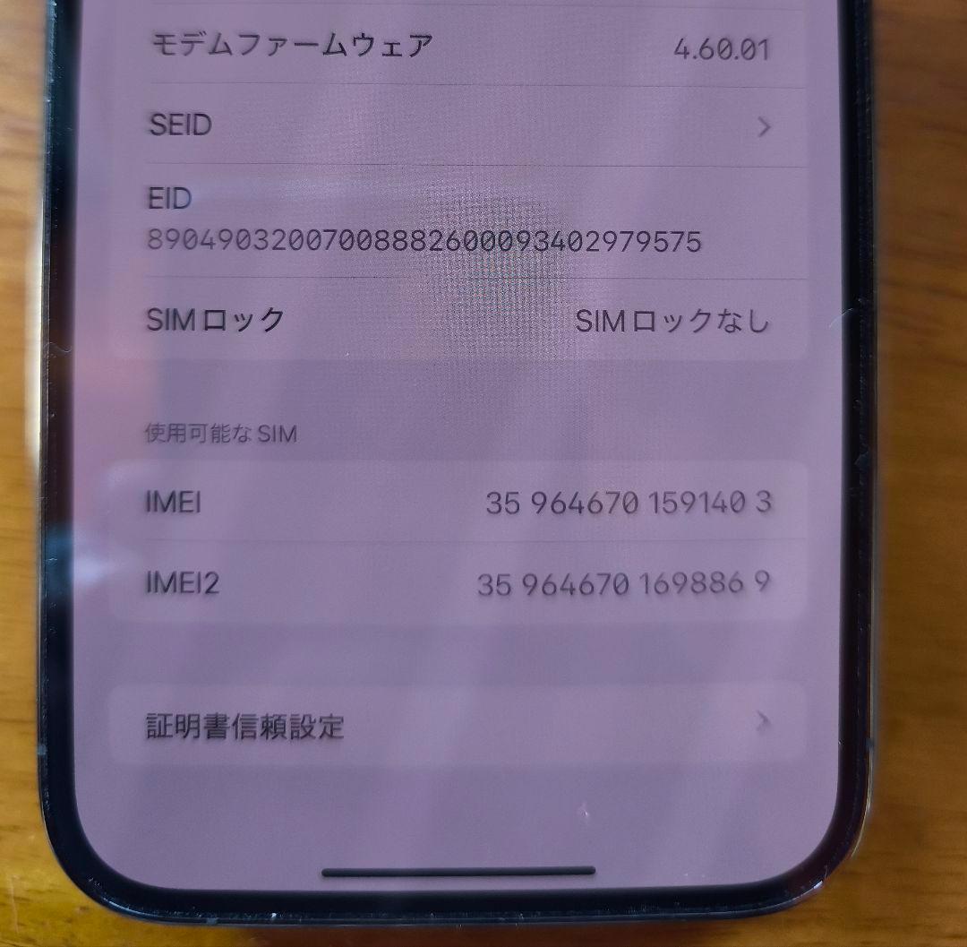 Apple iPhone 13 Pro Max 1TB グラファイト
