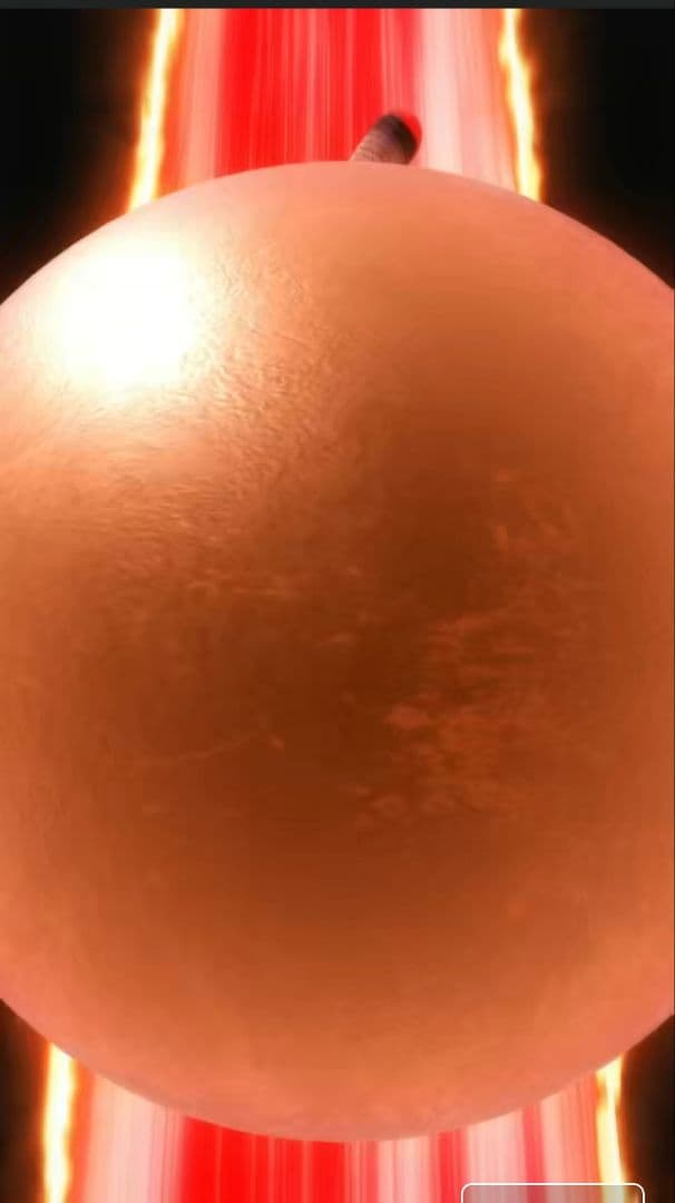 psa 10ヴァイスシュヴァルツ RED WOLF RED HOOD サイン入り