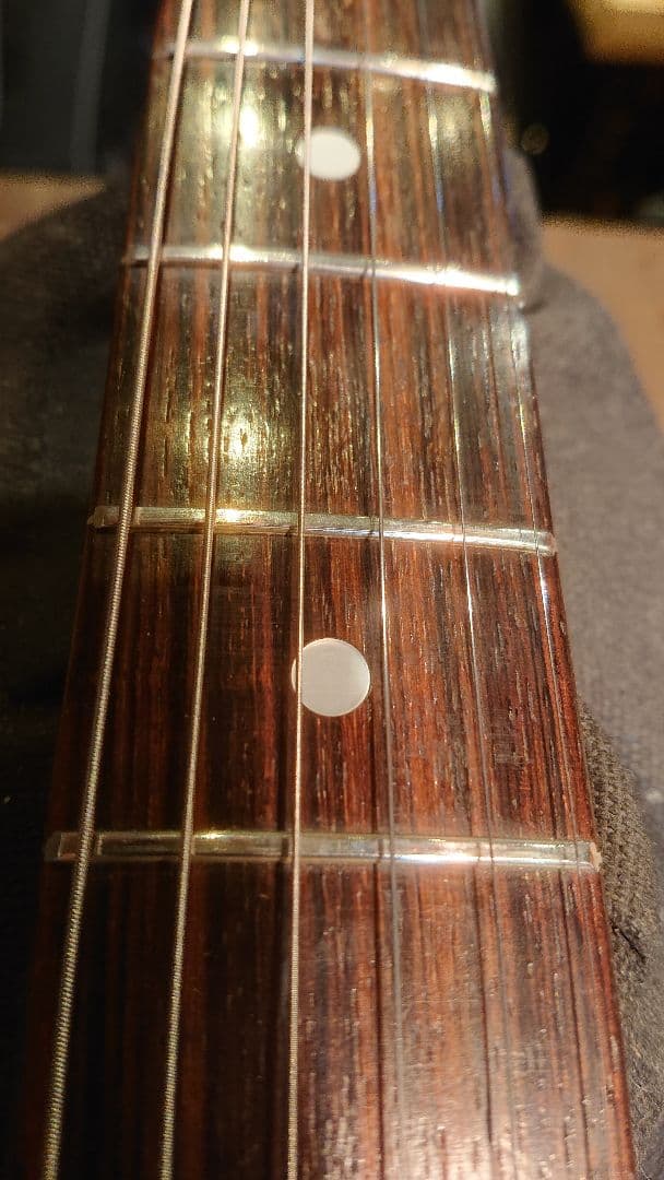 FERNANDES FST 石ロゴ ローズ