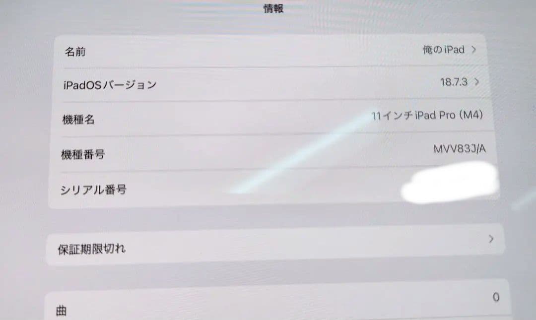 美品　M4 iPad Pro 11インチ (256GB, Wi-Fi)