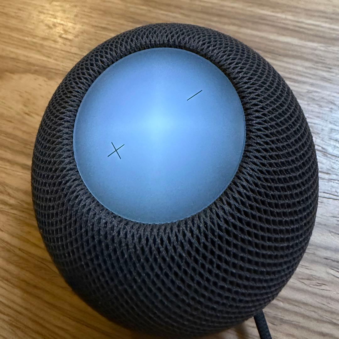 Apple Pod mini ミッドナイト