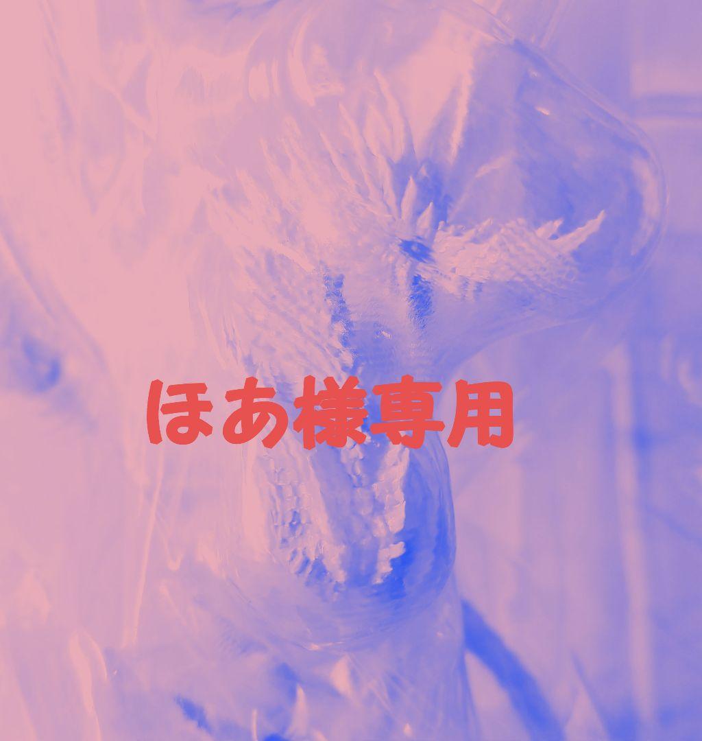 モンハン ワールド アイスボーン コレクターズパッケージ 限定品