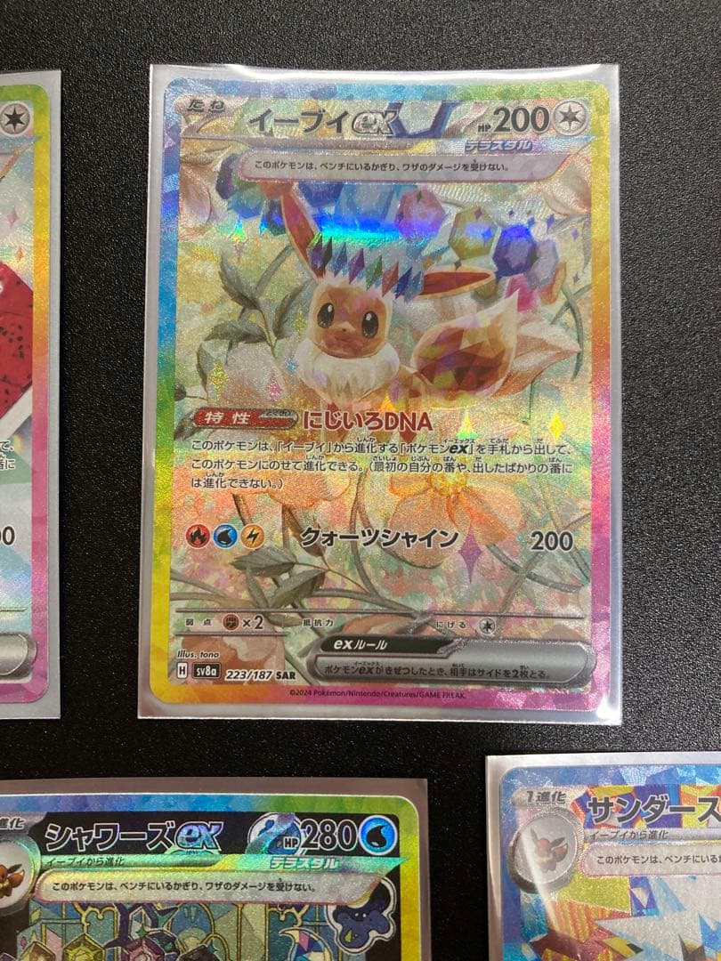 ブイズSAR テラスタルフェスex