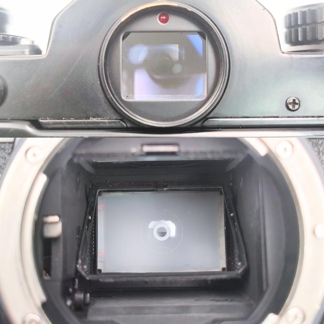 フィルムカメラ Nikon FE / Ai NIKKOR 50mm F1.4