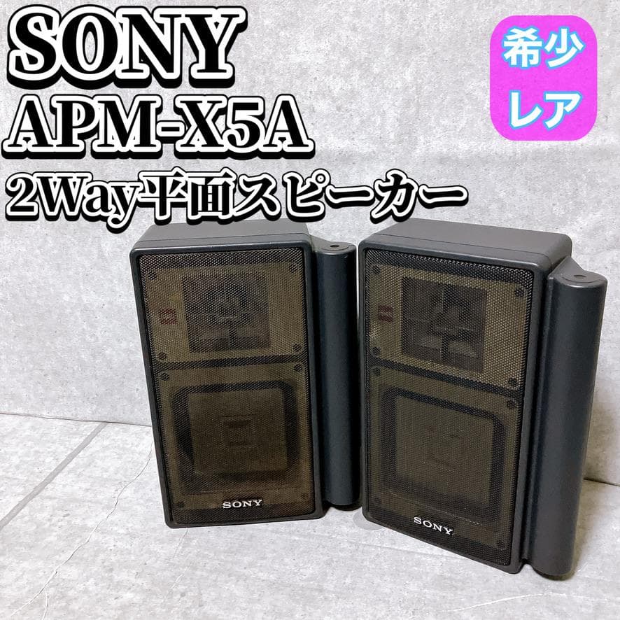 SONY APM-X5A 2Way 平面スピーカーシステム オーディオ 希少