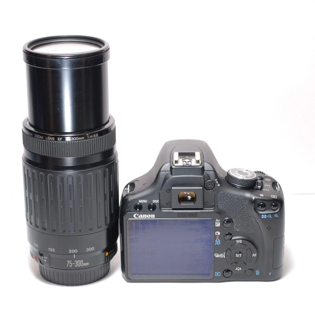 超望遠レンズデビュー✨Canon Kiss X3✨ シングルレンズ✨入門機✨