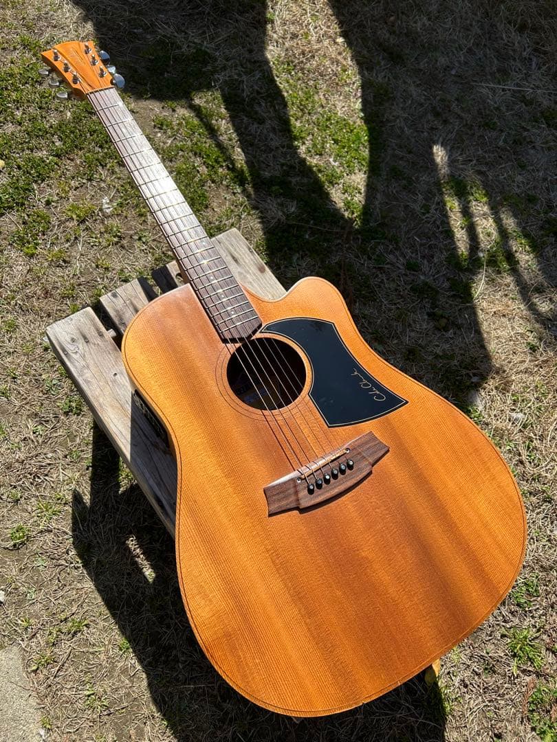 Cole Clark (オール単板)