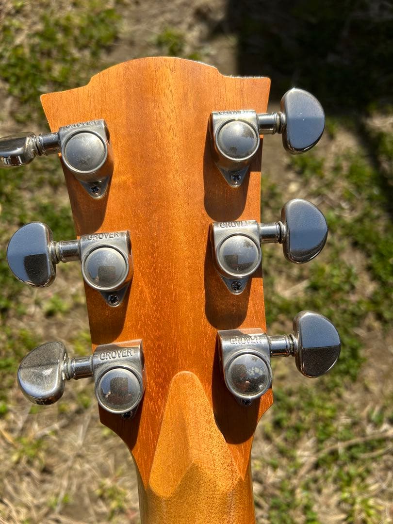 Cole Clark (オール単板)