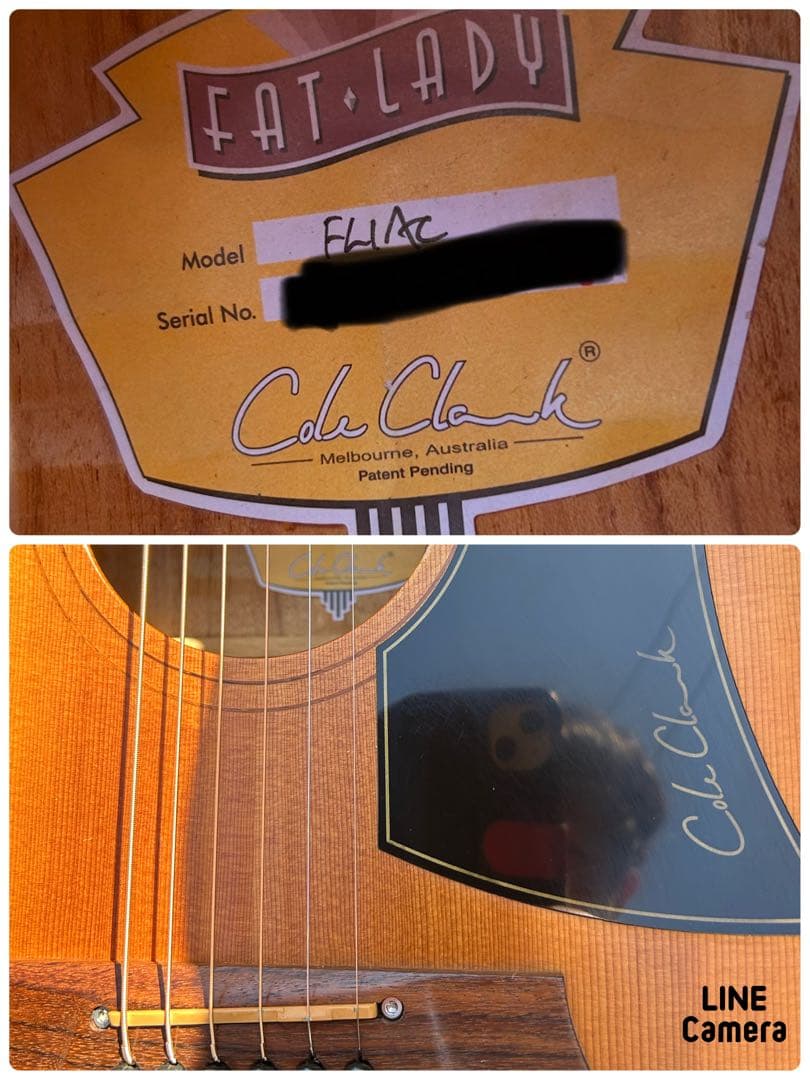 Cole Clark (オール単板)