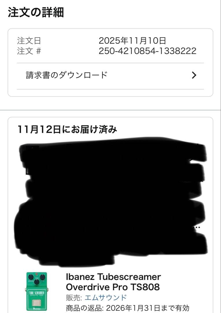 ギター IBANEZ TS808