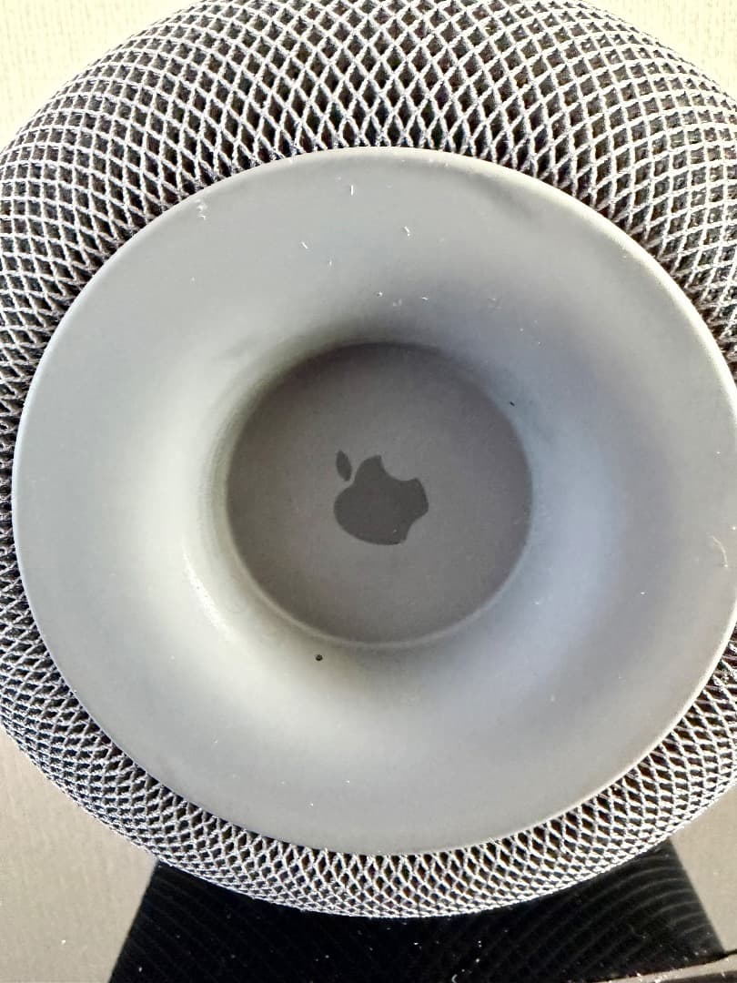 Apple Pod 　第1世代　スペースグレー【美品】　2台セット