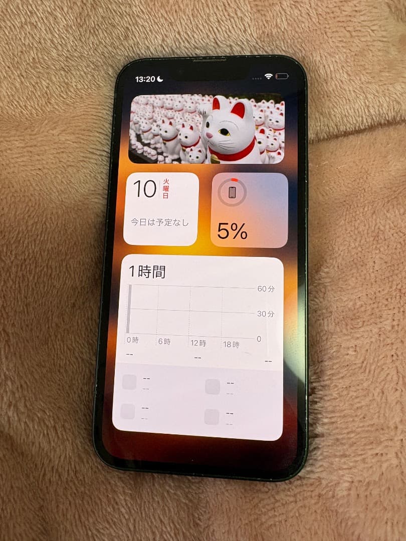 Apple iPhone 13 Mini グリーン 本体+ケース