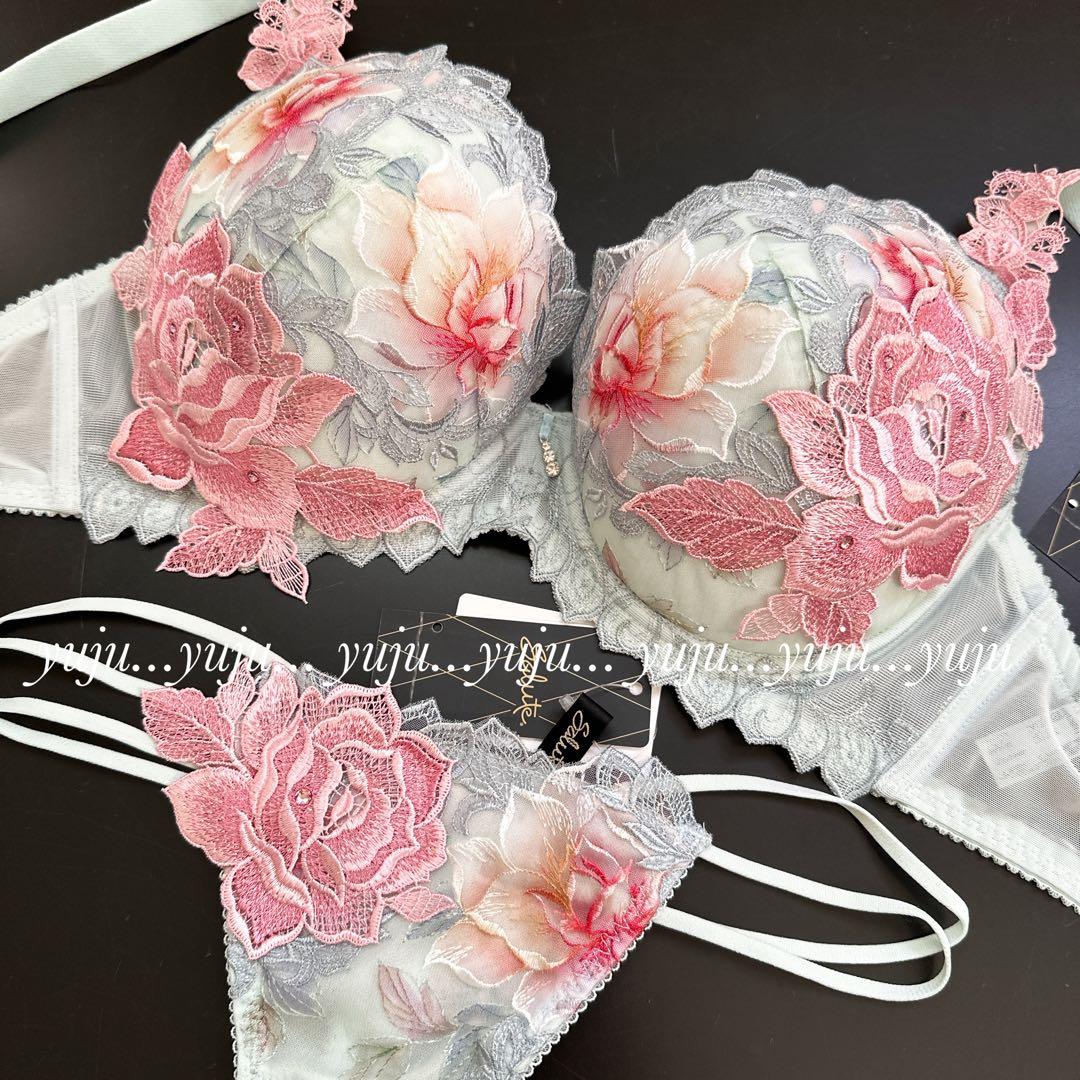 ワコール/サルート 97グループ 店舗限定 p-upブラTバックG70