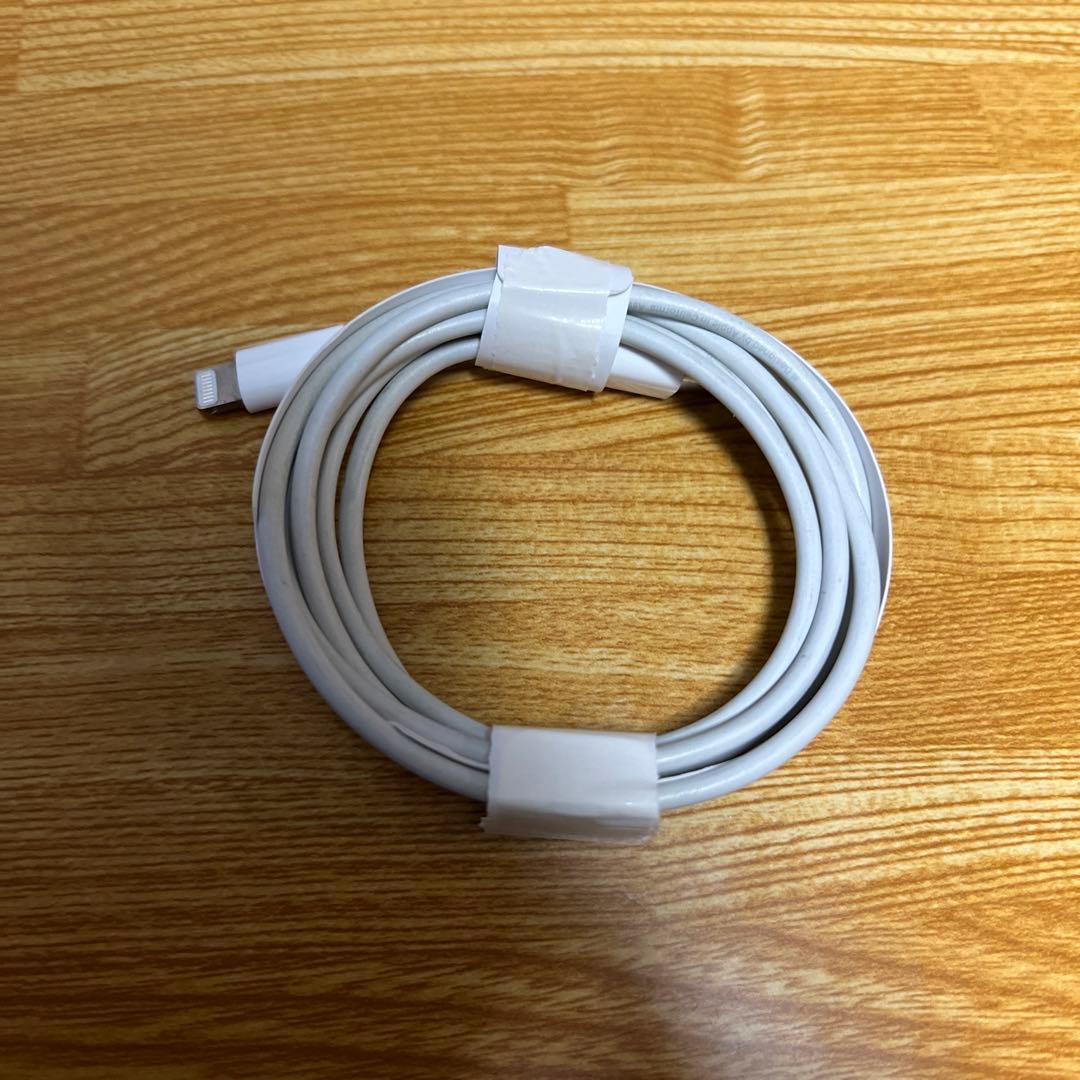 Apple AirPods両耳、ケース、タイプC充電器付き