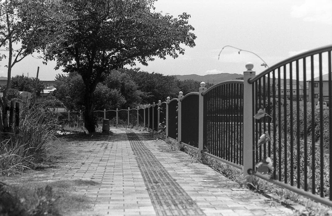 【整備済完動品】PENTAX MX ＋ SMC PENTAX 55mm F1.8