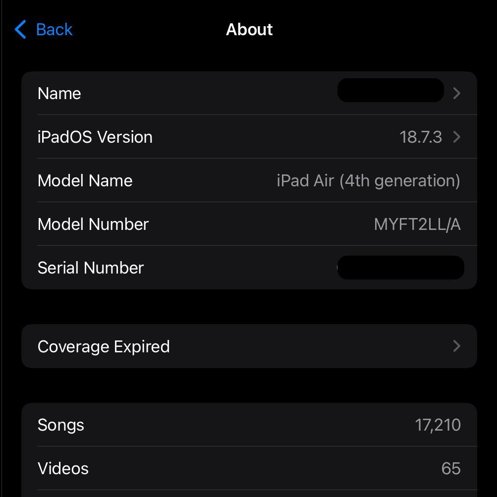 iPad本体 iPad Air 4 11in 256 Pencil + Keyboard