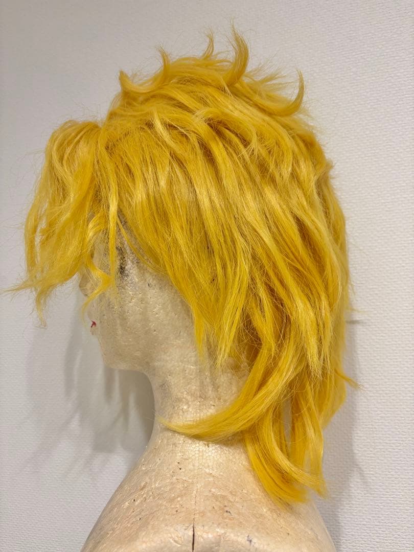 【出品1/20まで】ジョジョ DIO コスプレフルセット