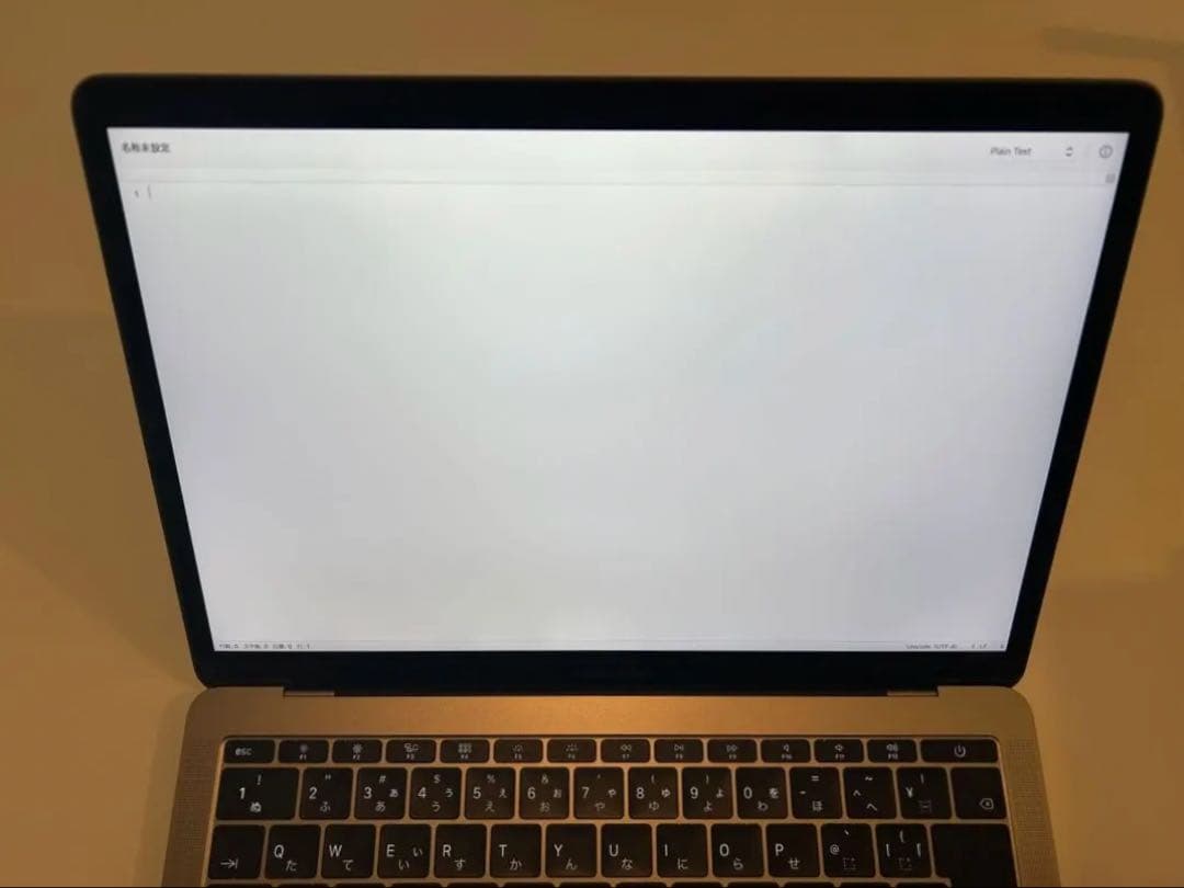 MacBook Pro 13インチ 2017 SSD256GBメモリ16GB