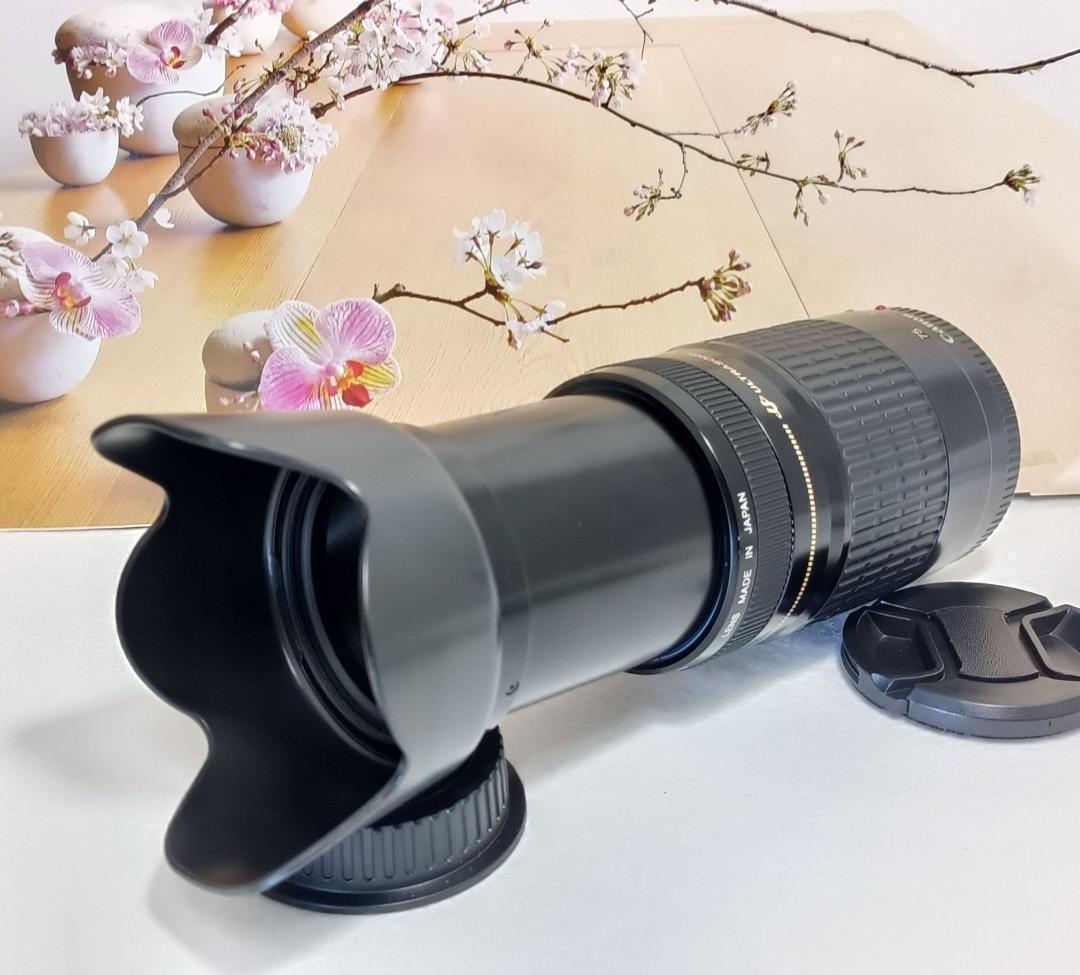 レンズが残す絆！Canon キヤノン 望遠レンズ EF75-300mm #5